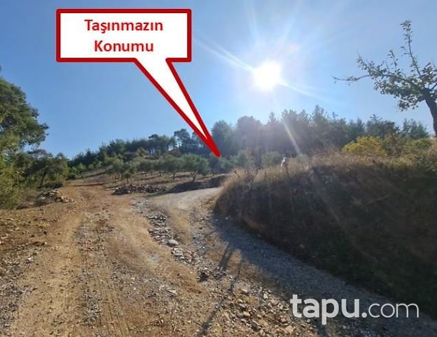 Muğla Yatağan Doğanköy'de 14.621 m2 Tarla