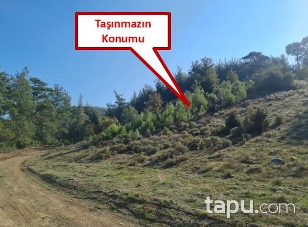 Muğla Yatağan Doğanköy'de 14.621 m2 Tarla