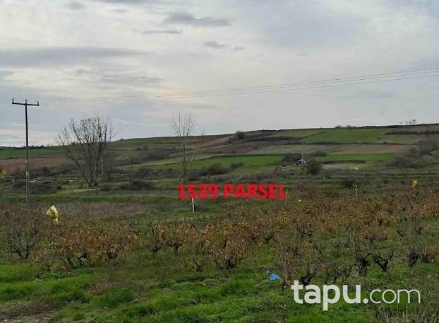 Edirne Havsa Şerbettar'de 15 Dönüm Tarla