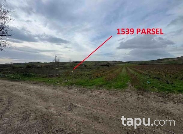 Edirne Havsa Şerbettar'de 15 Dönüm Tarla