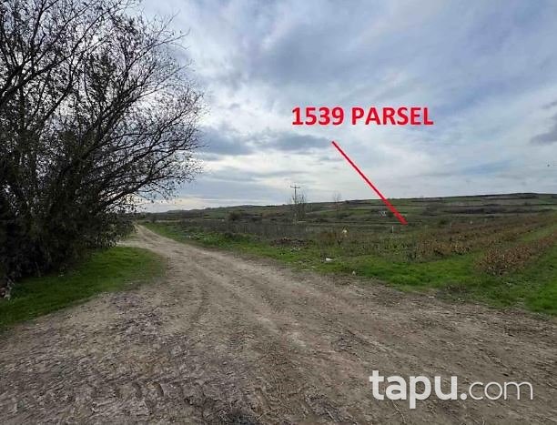 Edirne Havsa Şerbettar'de 15 Dönüm Tarla