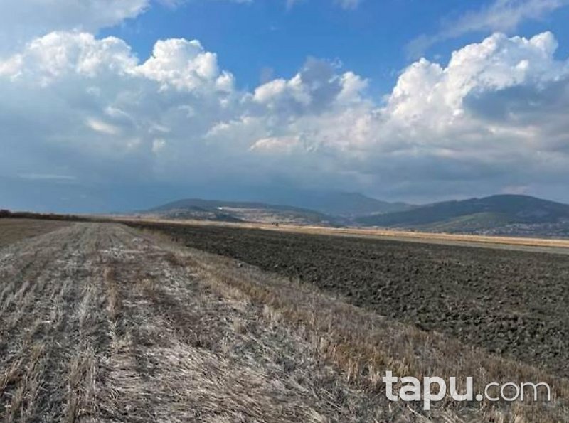 Burdur Bucak Atilla Mahallesi'nde Hisseli 6 Dönüm Tarla