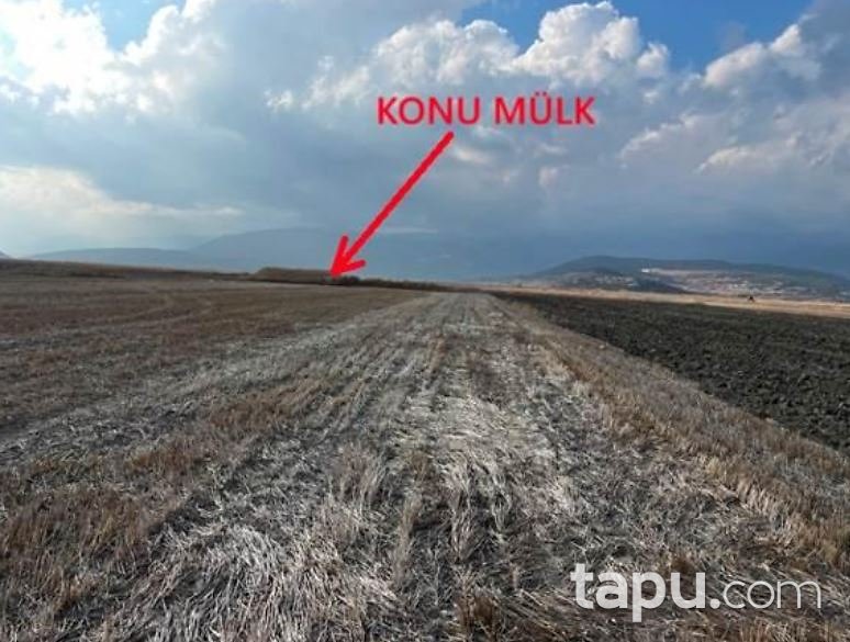 Burdur Bucak Atilla Mahallesi'nde Hisseli 6 Dönüm Tarla