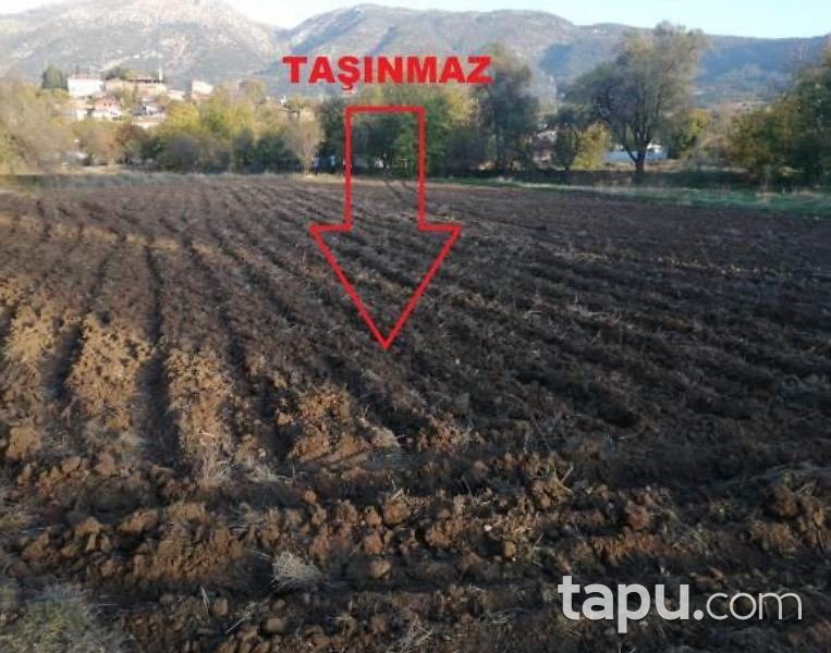 Denizli Acıpayam Yazır'da 1.218 m2 Konut İmarlı Arsa