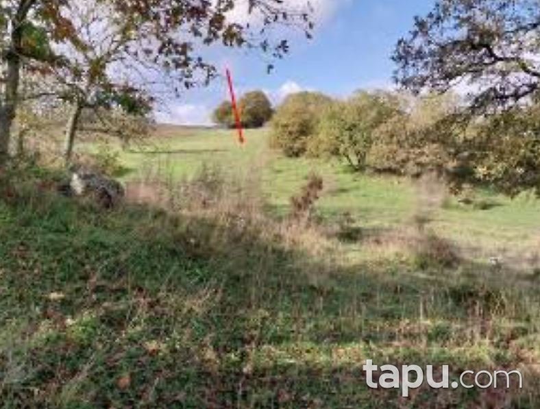 Lapseki Çataltepe'de Hisseli 9 Dönüm Tarla