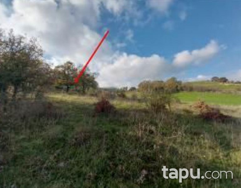 Lapseki Çataltepe'de Hisseli 9 Dönüm Tarla