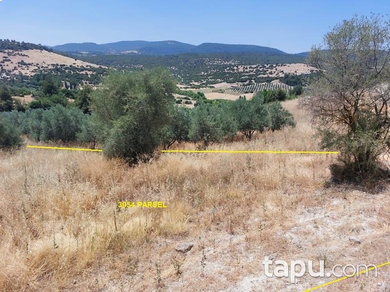 Akhisar Arabacıbozköy'de 2 Dönüm Tarla (1805)