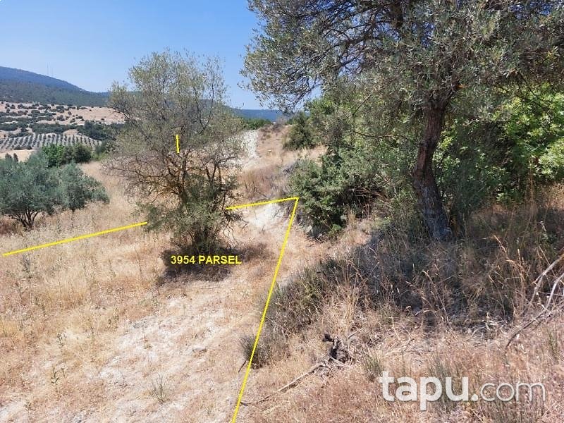 Akhisar Arabacıbozköy'de 2 Dönüm Tarla (1805)