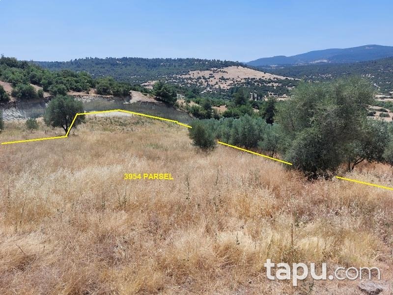 Akhisar Arabacıbozköy'de 2 Dönüm Tarla (1805)