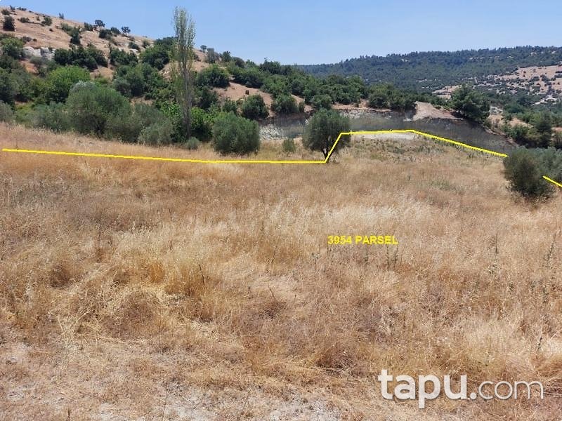 Akhisar Arabacıbozköy'de 2 Dönüm Tarla (1805)