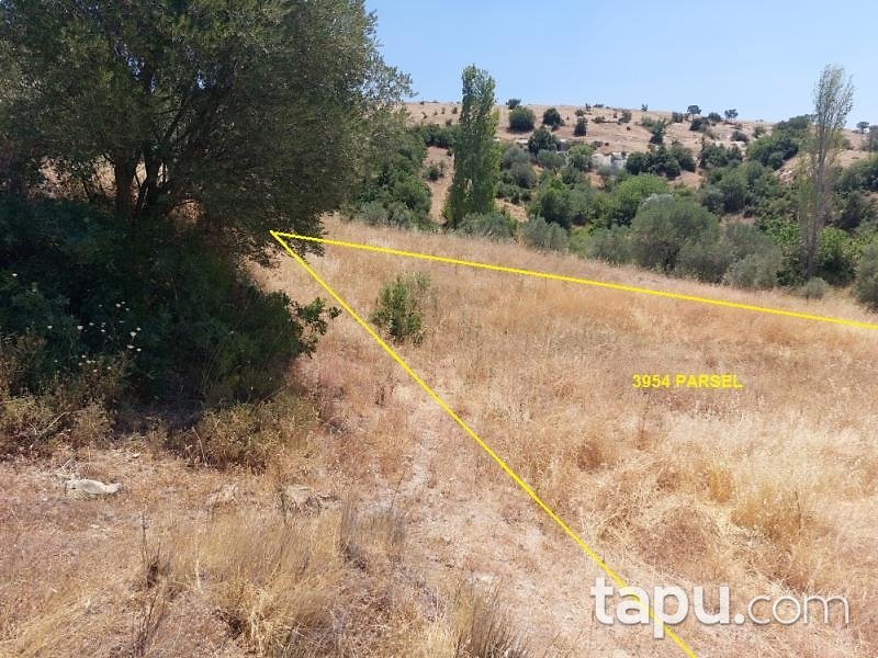 Akhisar Arabacıbozköy'de 2 Dönüm Tarla (1805)