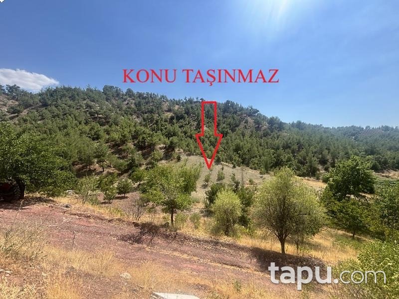 Kahramanmaraş Pazarcık'ta 3.294 m2 Bahçe (AS-02950)