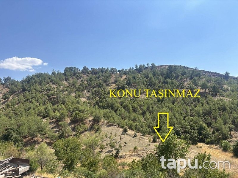 Kahramanmaraş Pazarcık'ta 3.294 m2 Bahçe (AS-02950)