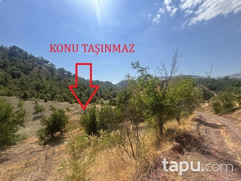 Kahramanmaraş Pazarcık'ta 3.294 m2 Bahçe (AS-02950)