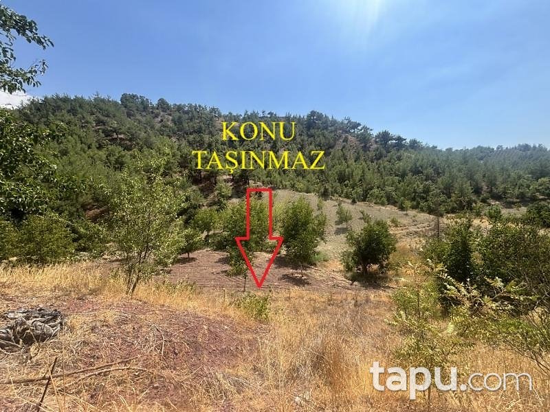 Kahramanmaraş Pazarcık'ta 3.294 m2 Bahçe (AS-02950)