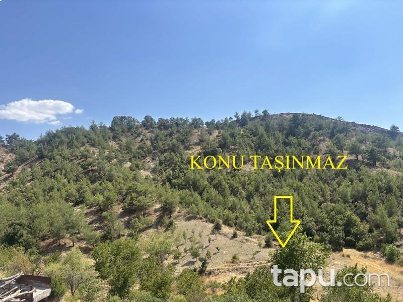Kahramanmaraş Pazarcık'ta 3.294 m2 Bahçe (AS-02950)