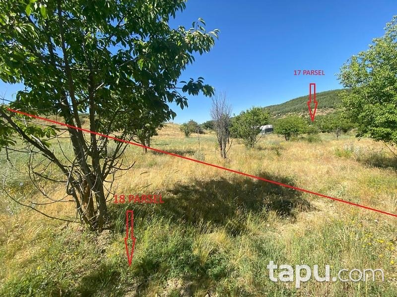 Isparta Yakaören Mahallesi'nde Hisseli 2 Adet Tarla (1631-1632)