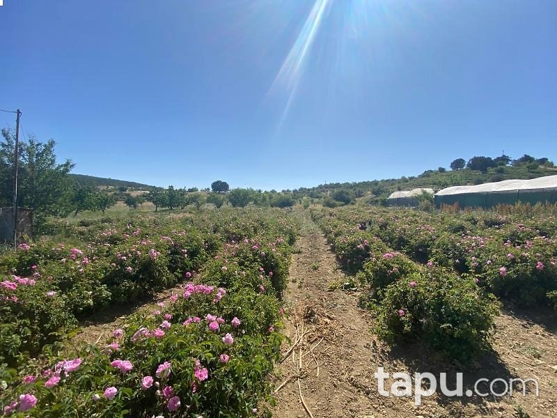 Isparta Yakaören Mahallesi'nde Hisseli 2 Adet Tarla (1631-1632)