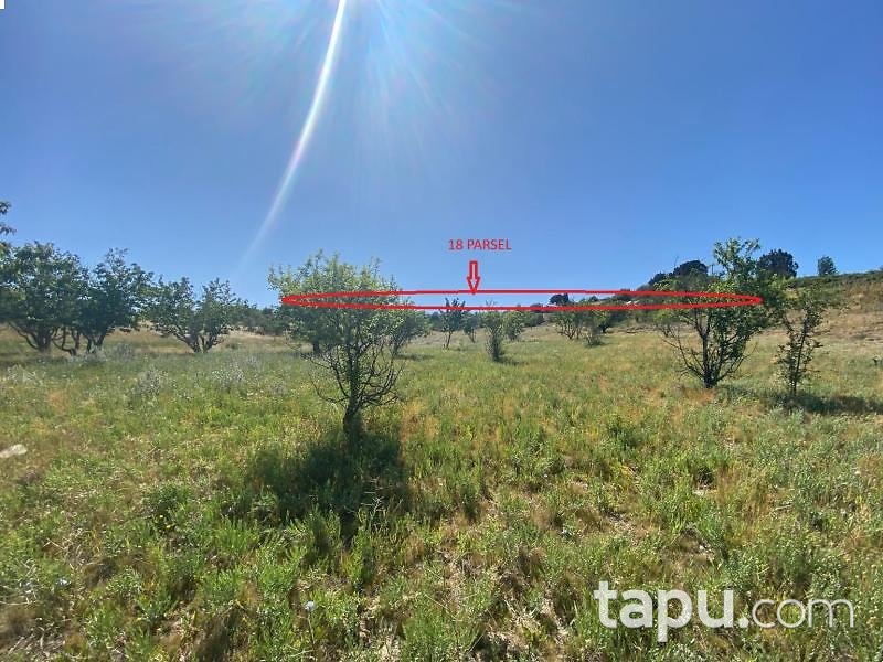 Isparta Yakaören Mahallesi'nde Hisseli 2 Adet Tarla (1631-1632)