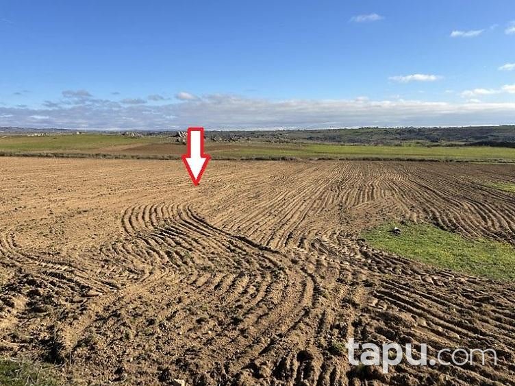 Kırklareli Merkez Kayalı'da Hisseli 7.500 m2 Tarla