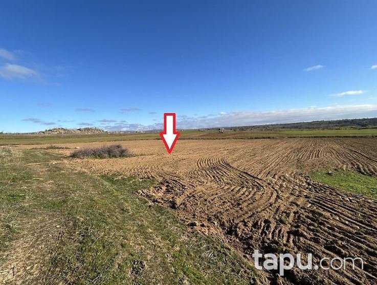 Kırklareli Merkez Kayalı'da Hisseli 7.500 m2 Tarla