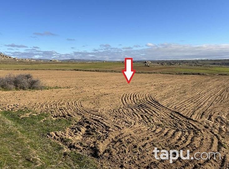 Kırklareli Merkez Kayalı'da Hisseli 7.500 m2 Tarla