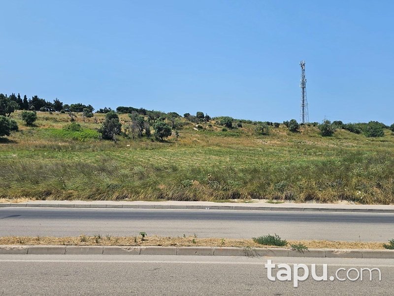 Bandırma Ayyıldız'da Yarı Hisseli 1.908 m2 Tarla