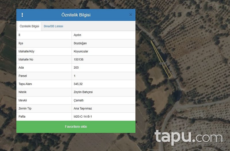 Aydın Bozdoğan Koyuncular'da Hisseli Zeytin Bahçesi (1795)