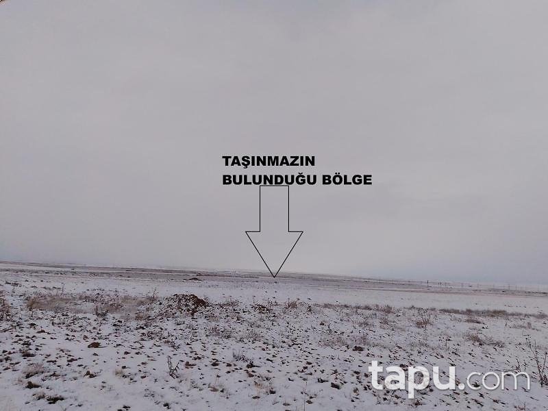 Konya Kadınhanı Kolukısa/Mescit Mahallesi'nde 29 Dönüm Tarla (1635)