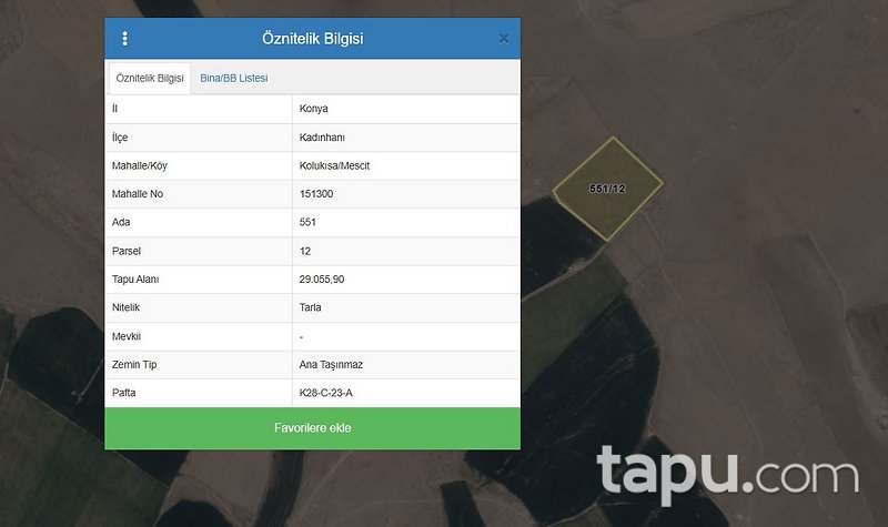 Konya Kadınhanı Kolukısa/Mescit Mahallesi'nde 29 Dönüm Tarla (1635)