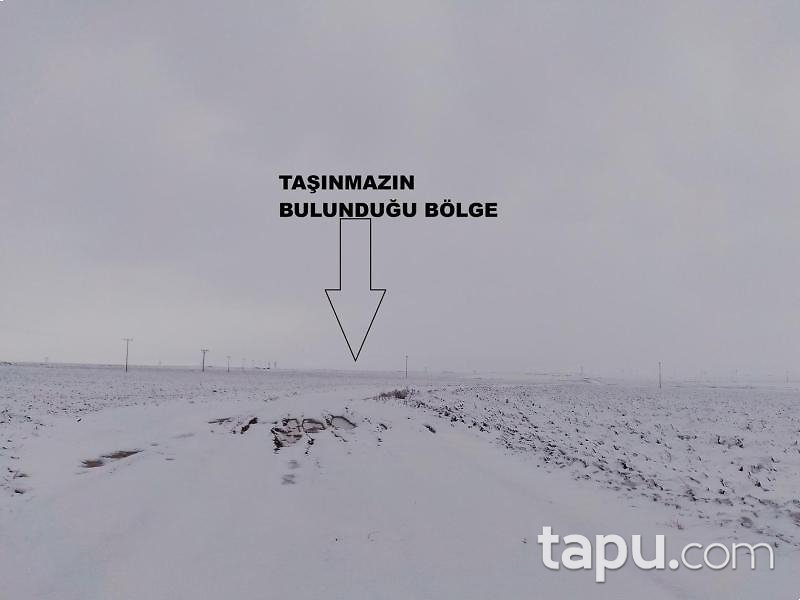 Konya Kadınhanı Kolukısa/Mescit Mahallesi'nde 29 Dönüm Tarla (1635)