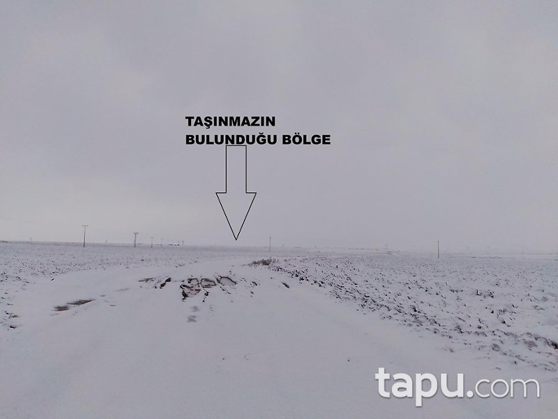 Konya Kadınhanı Kolukısa/Mescit Mahallesi'nde 29 Dönüm Tarla (1635)