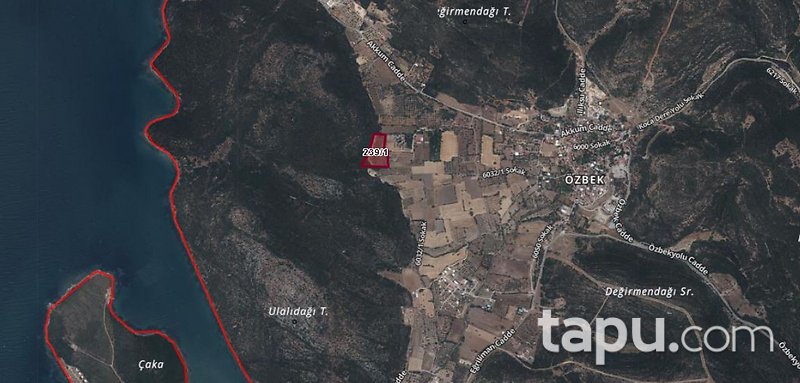 Urla Özbek’te Yatırım Potansiyelli 13.183 m2 Zeytin Ağaçlı Tarla