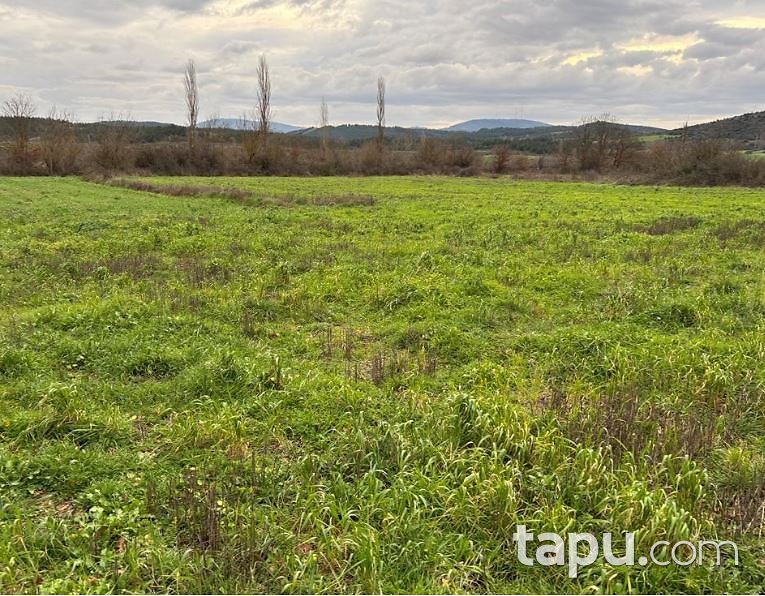 Çanakkale Yenice Engeci'de 6 Dönüm Tarla