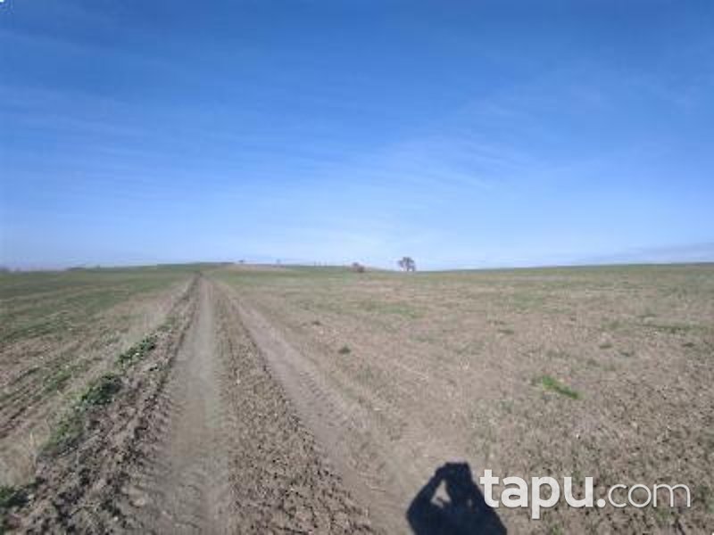 Balıkesir Altıeylül Aslıhantepecik Mahallesi'nde Hisseli 7200 m2 Tarla (1094)