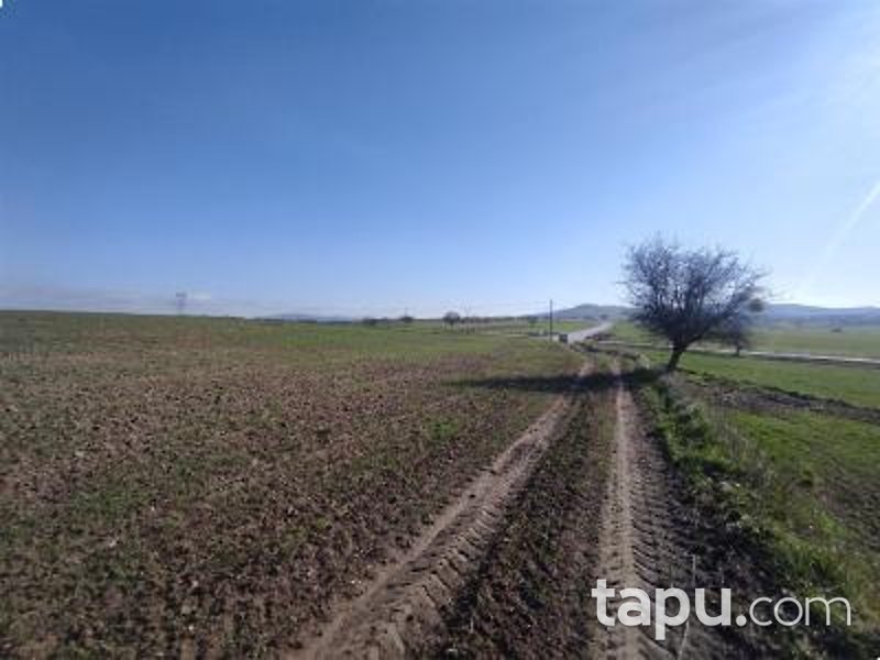 Balıkesir Altıeylül Aslıhantepecik Mahallesi'nde Hisseli 7200 m2 Tarla (1094)