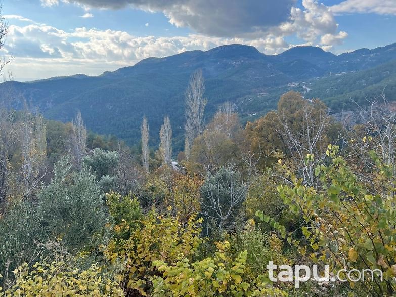 Alanya Bademağacı'nde 618 m2 Bahçe