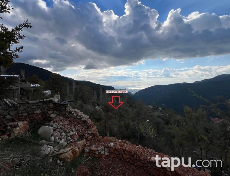 Alanya Bademağacı'nde 618 m2 Bahçe