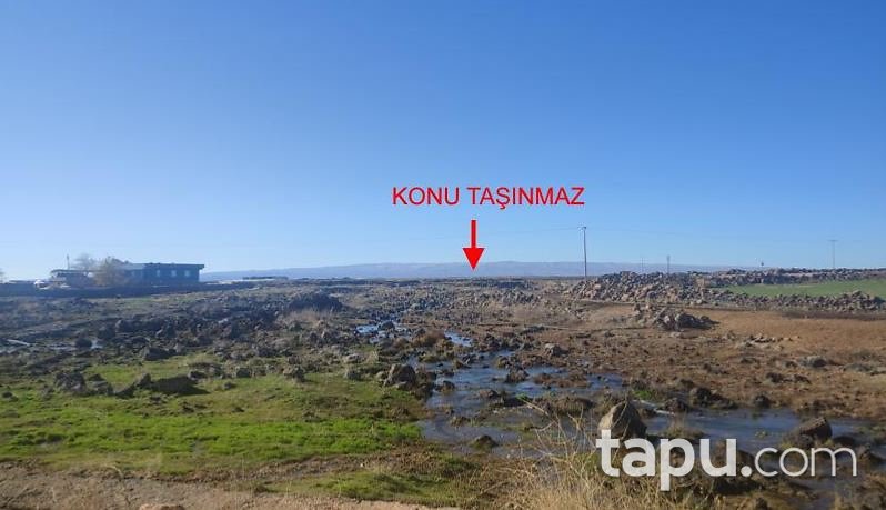 Diyarbakır Çınar Yukarımollaalı'da Hisseli 27 Dönüm Tarla