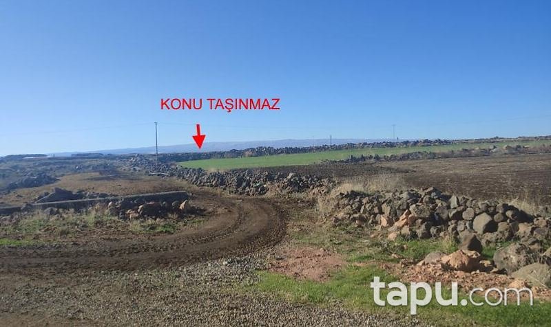 Diyarbakır Çınar Yukarımollaalı'da Hisseli 27 Dönüm Tarla