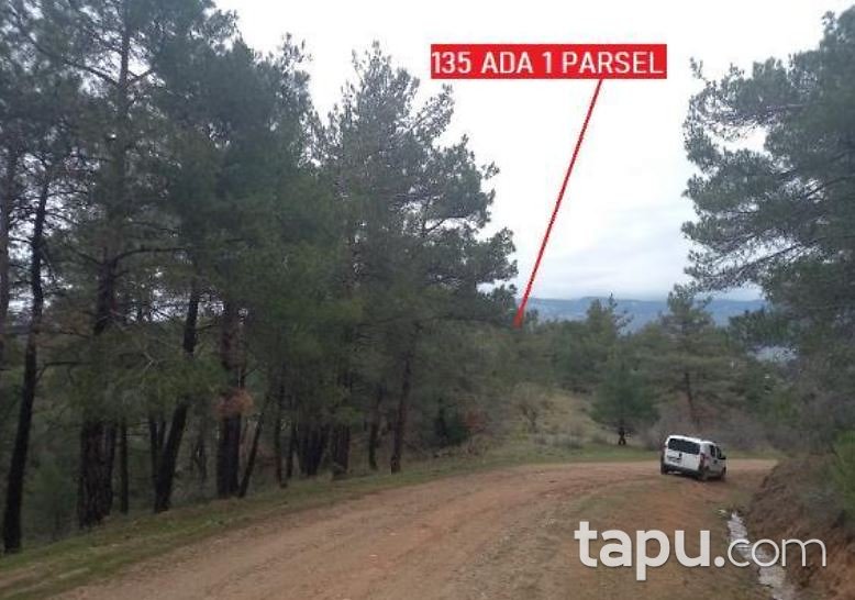 Balıkesir Sındırgı Danaçayır'da 11.728 m2 Tarla