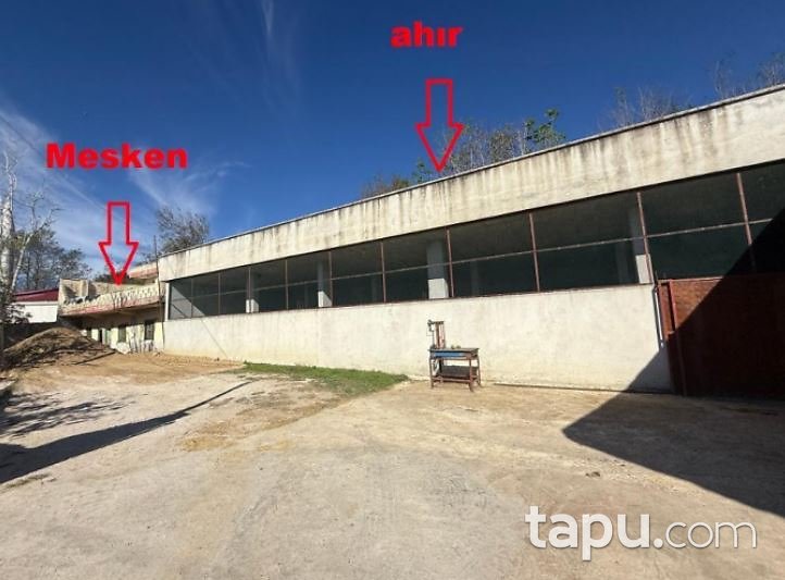 Kahramanmaraş Andırın'da Kargir Ev Ahır Ve Arsası (300109)