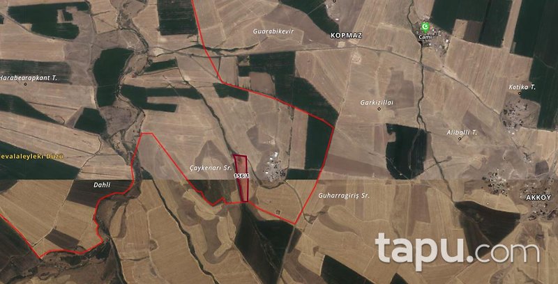 Bismil Bayındır'da 5861 m2 Hisseli Tarla (305633 )