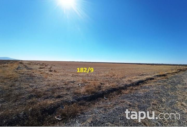 Konya Karatay Zencirli'de 42 Dönüm Tarla (306747 )