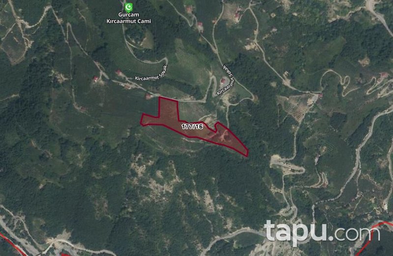 Samsun Ayvacık Gürçam'da 22 Dönüm Tarla(303910)