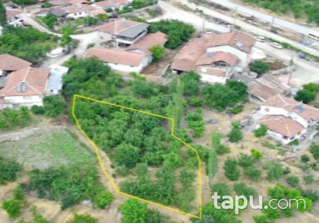 Amasya Merkez Kızseki'de 528 Bahçe(306706)