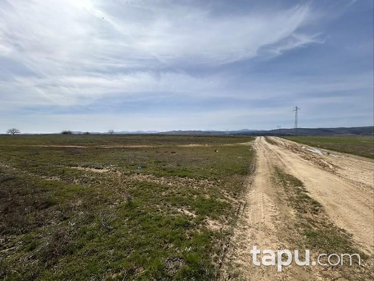 Edirne Meriç Nasuhbey'de 11 Dönüm Tarla