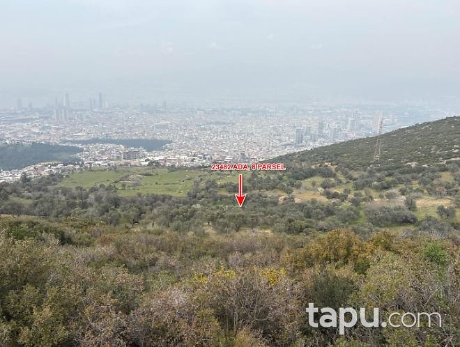 İzmir Bornova Çamkule'de Hisseli 562 m2 Zeytinlik