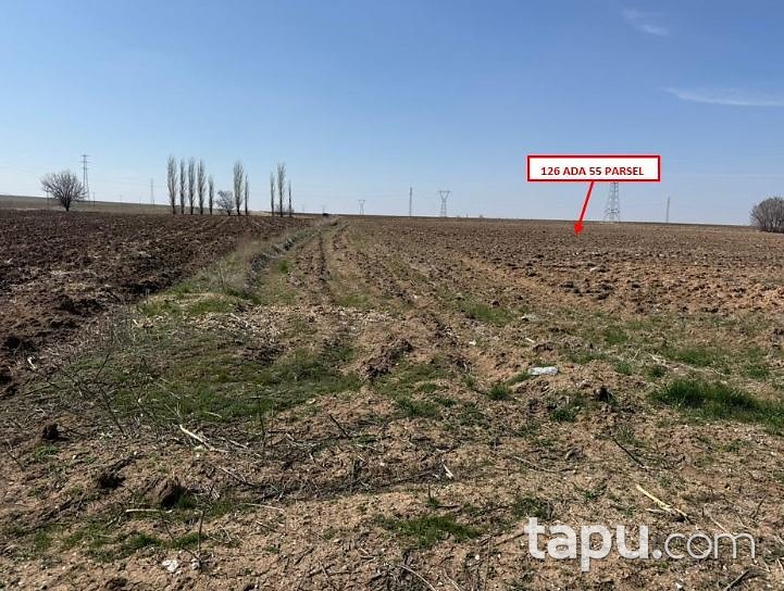 Konya Yunak Saray Mahallesi'nde 30 Dönüm Tarla