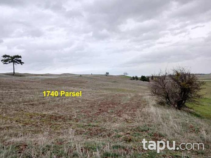 Eskişehir İnönü Dereyalak Mahallesi'nde Hisseli 17 Dönüm Tarla